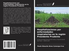 Copertina di Hospitalizaciones por enfermedades respiratorias en la región Presidente Prudente