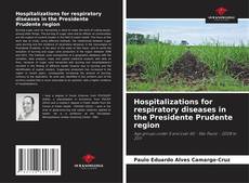 Copertina di Hospitalizations for respiratory diseases in the Presidente Prudente region