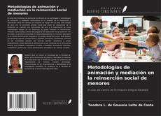 Copertina di Metodologías de animación y mediación en la reinserción social de menores