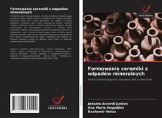 Formowanie ceramiki z odpadów mineralnych的封面