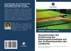 Auswirkungen der Einführung der Kalkungstechnologie auf das Ernteeinkommen der Landwirte的封面