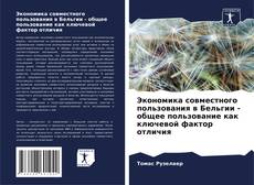 Copertina di Экономика совместного пользования в Бельгии - общее пользование как ключевой фактор отличия