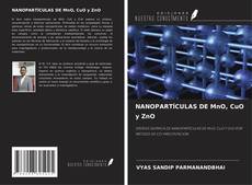 Copertina di NANOPARTÍCULAS DE MnO, CuO y ZnO