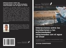 Copertina di Interacciones entre las inundaciones y las enfermedades relacionadas con el agua en Chad