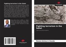 Обложка Fighting terrorism in the Sahel