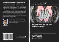 Buchcover von Buena gestión de las camaroneras