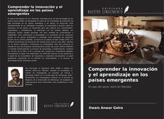 Capa do livro de Comprender la innovación y el aprendizaje en los países emergentes 
