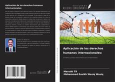 Buchcover von Aplicación de los derechos humanos internacionales: