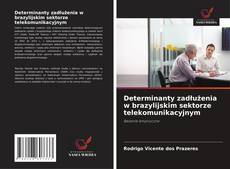 Couverture de Determinanty zadłużenia w brazylijskim sektorze telekomunikacyjnym