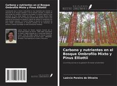 Buchcover von Carbono y nutrientes en el Bosque Ombrofilo Mixto y Pinus Elliottii