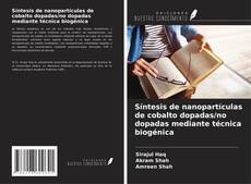 Buchcover von Síntesis de nanopartículas de cobalto dopadas/no dopadas mediante técnica biogénica