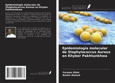 Buchcover von Epidemiología molecular de Staphylococcus Aureus en Khyber Pakhtunkhwa