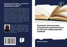Половое воспитание - упущенная возможность в системе образования Замбии的封面