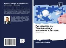 Руководство по: Устойчивость и инновации в бизнесе的封面