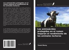 Copertina di Los aminoácidos protegidos en el rumen mejoran el rendimiento de los animales lecheros