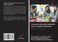 Copertina di Znaczenie dobrego środowiska pracy w każdej organizacji