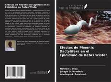 Capa do livro de Efectos de Phoenix Dactylifera en el Epidídimo de Ratas Wistar 