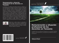 Buchcover von Remuneración y situación profesional de los docentes en Tanzania