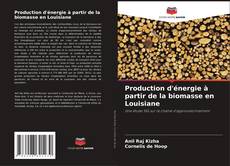 Bookcover of Production d'énergie à partir de la biomasse en Louisiane
