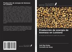 Copertina di Producción de energía de biomasa en Luisiana
