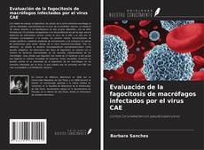 Copertina di Evaluación de la fagocitosis de macrófagos infectados por el virus CAE