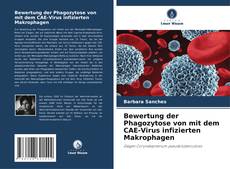Bookcover of Bewertung der Phagozytose von mit dem CAE-Virus infizierten Makrophagen