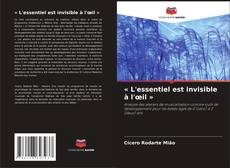 Portada del libro de « L'essentiel est invisible à l'œil »