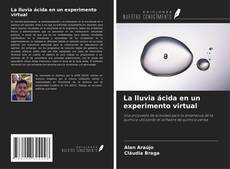Copertina di La lluvia ácida en un experimento virtual