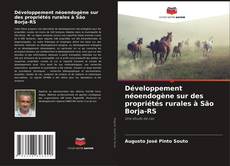 Copertina di Développement néoendogène sur des propriétés rurales à São Borja-RS