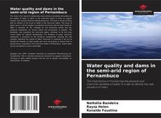 Copertina di Water quality and dams in the semi-arid region of Pernambuco