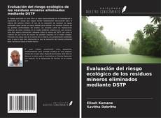 Couverture de Evaluación del riesgo ecológico de los residuos mineros eliminados mediante DSTP