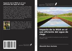 Couverture de Impacto de la WUA en el uso eficiente del agua de riego