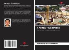 Buchcover von Shallow foundations