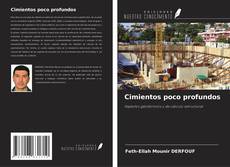 Capa do livro de Cimientos poco profundos 