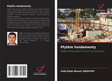 Couverture de Płytkie fundamenty