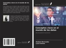 Copertina di Conceptos clave en el mundo de los datos