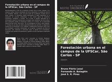Copertina di Forestación urbana en el campus de la UFSCar, São Carlos - SP