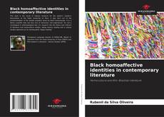Capa do livro de Black homoaffective identities in contemporary literature 