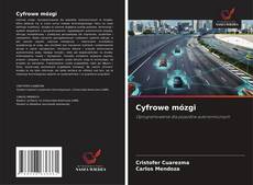 Copertina di Cyfrowe mózgi