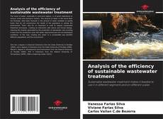 Couverture de Analysis of the efficiency of sustainable wastewater treatment