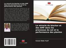 Capa do livro de Le miracle du biochar et des AMF dans les processus du sol et la performance des plantes 