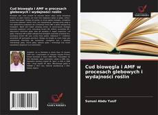 Cud biowęgla i AMF w procesach glebowych i wydajności roślin kitap kapağı