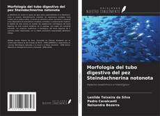 Borítókép a  Morfología del tubo digestivo del pez Steindachnerina notonota - hoz