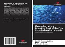 Обложка Morphology of the Digestive Tract of the Fish Steindachnerina notonota