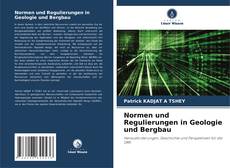 Normen und Regulierungen in Geologie und Bergbau的封面
