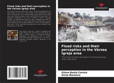 Capa do livro de Flood risks and their perception in the Várzea Igreja area 