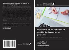 Buchcover von Evaluación de las prácticas de gestión de riesgos en los proyectos