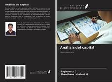 Buchcover von Análisis del capital