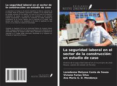 Buchcover von La seguridad laboral en el sector de la construcción: un estudio de caso