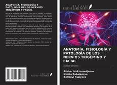 ANATOMÍA, FISIOLOGÍA Y PATOLOGÍA DE LOS NERVIOS TRIGÉMINO Y FACIAL的封面